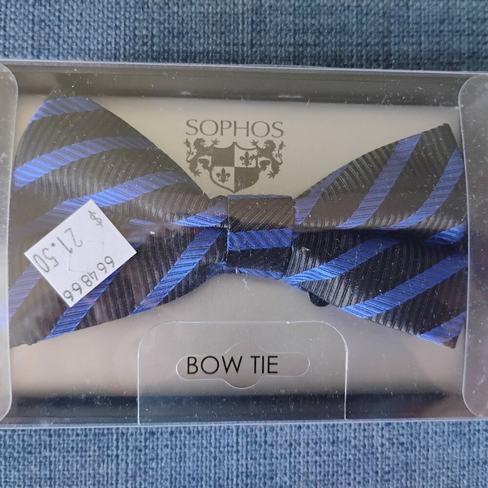 Men's Bowtie Blue/black